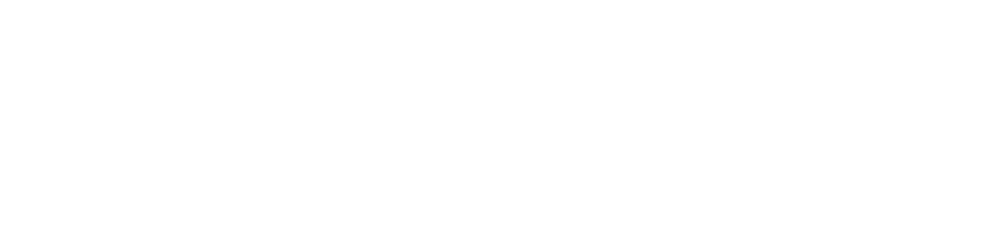 Postnummerservice logotyp